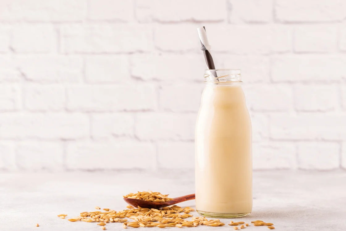 Homemade Seed Milk