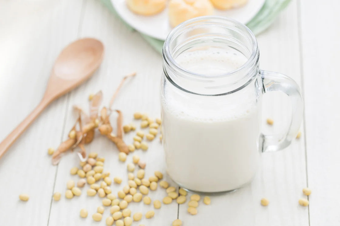 Homemade Soya Milk